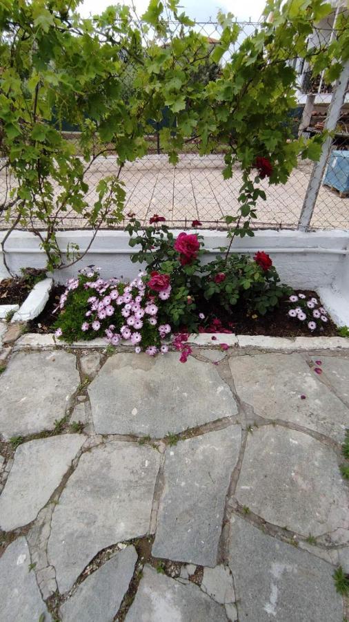 Keti'S Apartments Νέα Μουδανιά Εξωτερικό φωτογραφία